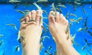 fish spa lloret de mar